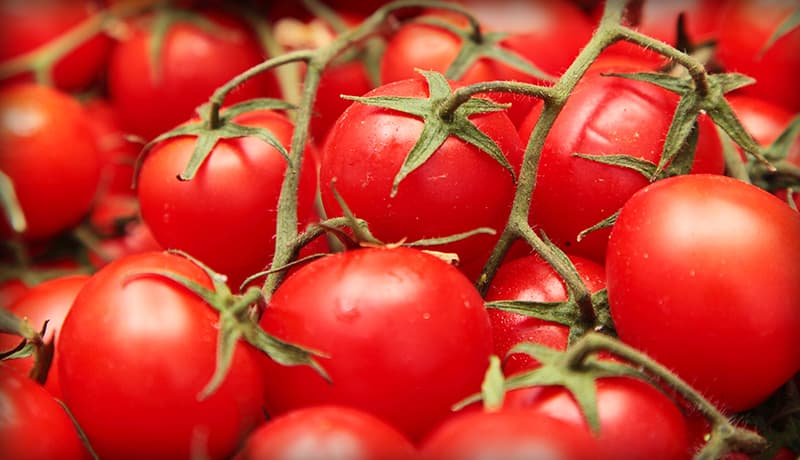 Tomato Fruit From Starts